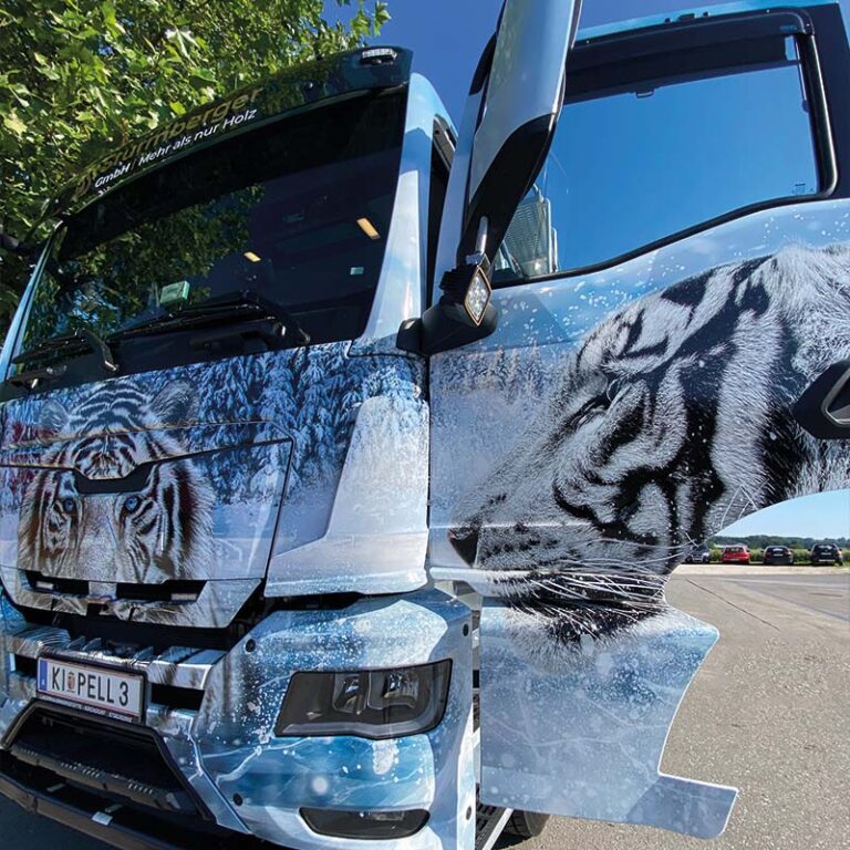 Schneetiger
