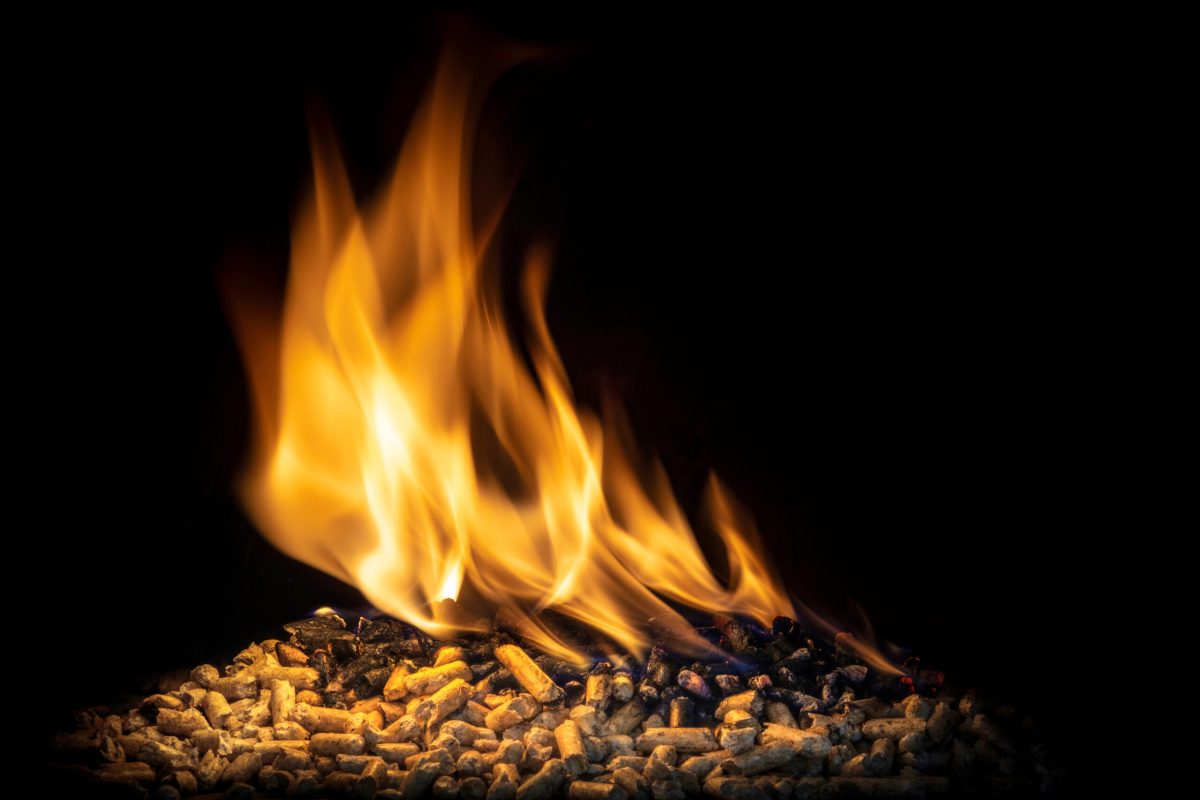 burning wood pellets, living flame and clearly visible. concept of biomass and alternative and natural fuel.